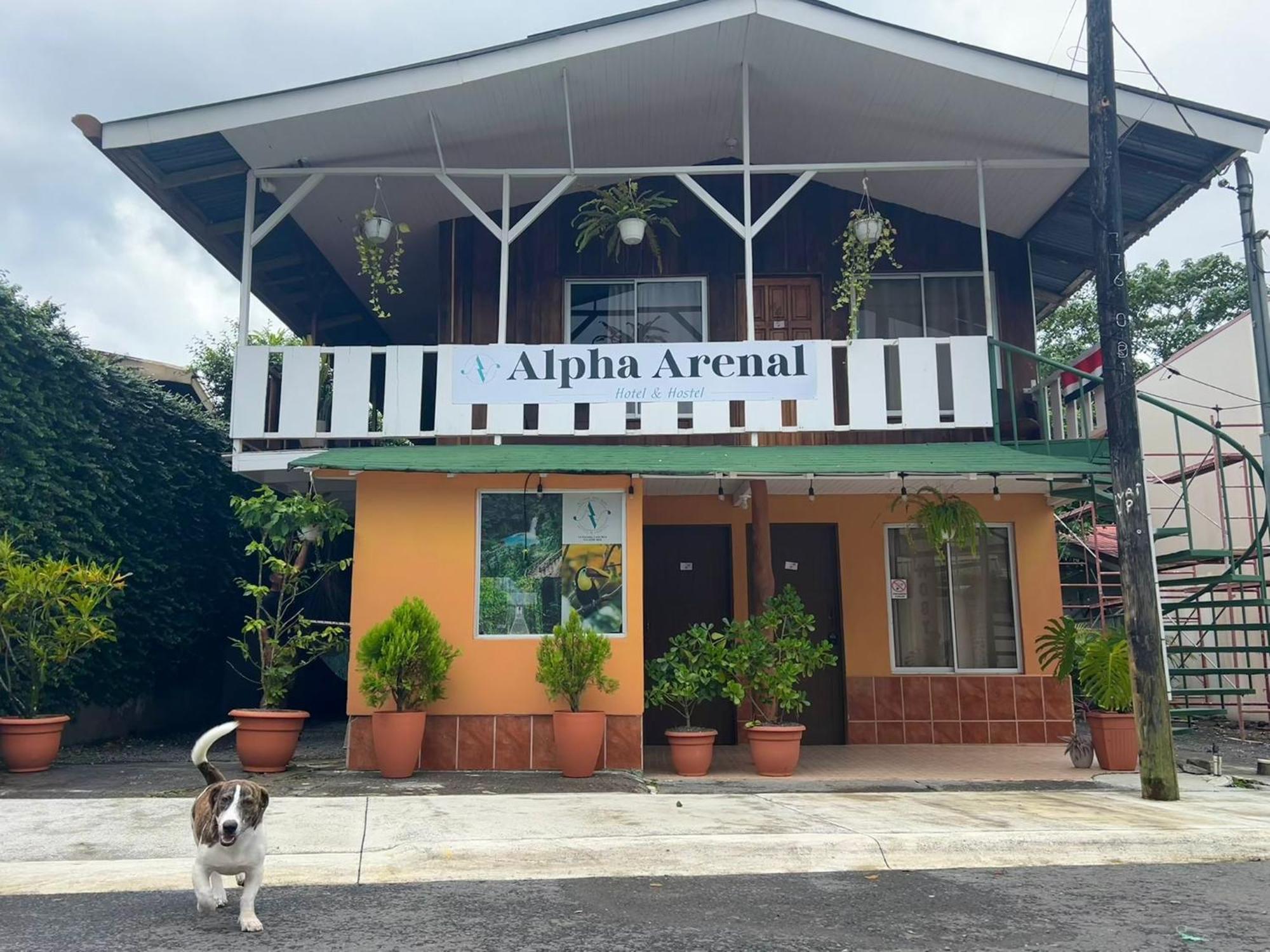 Alpha Arenal Hostel La Fortuna Kültér fotó