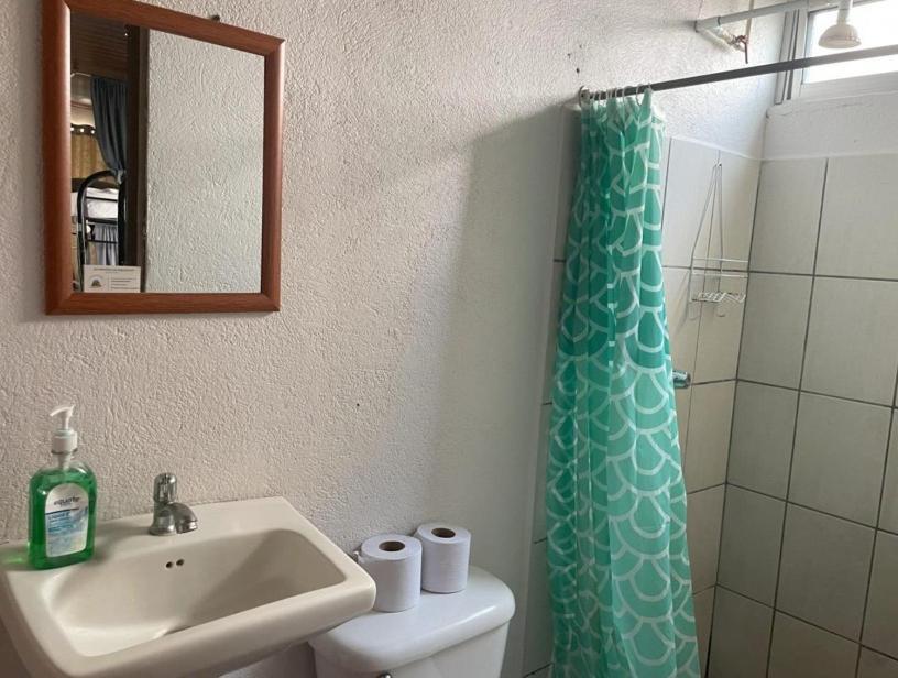 Alpha Arenal Hostel La Fortuna Kültér fotó